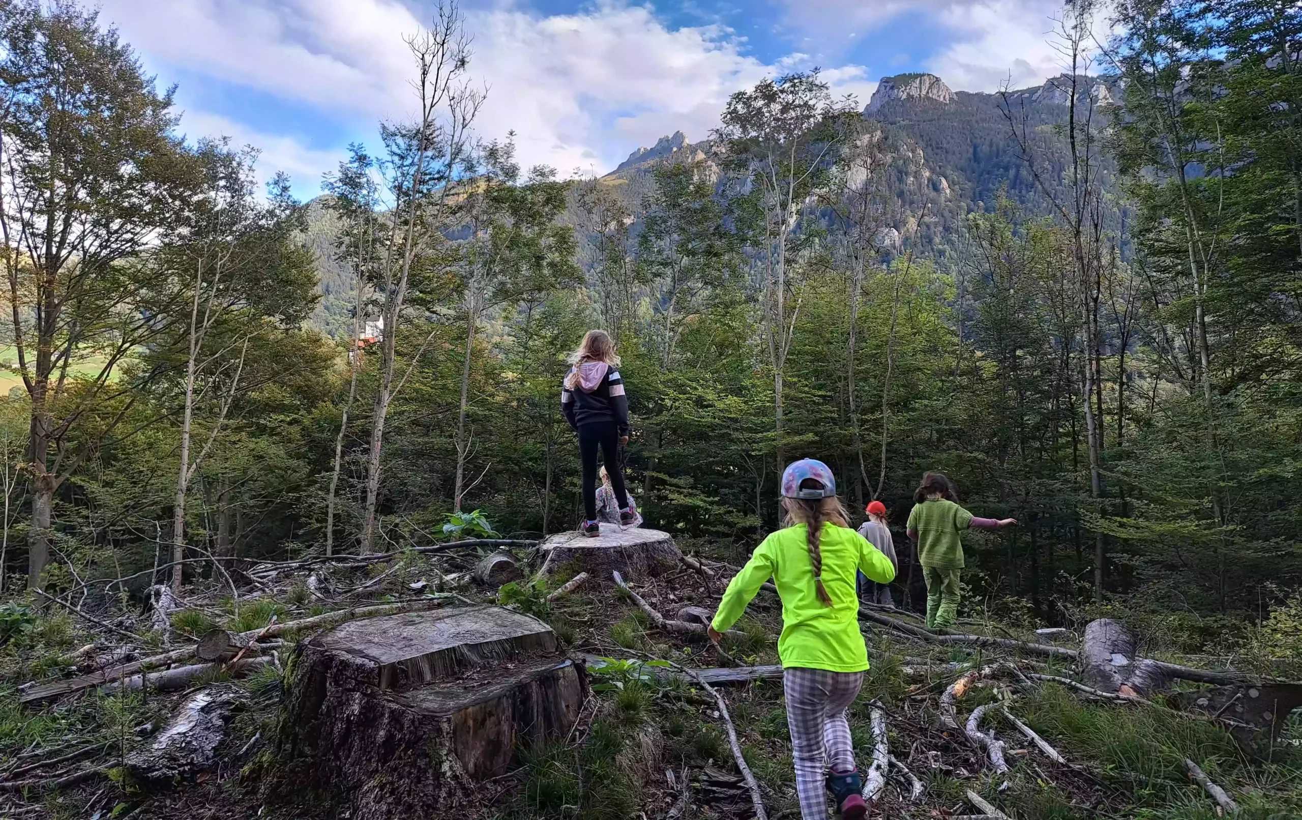 Kinder brechen in die Wildnis auf