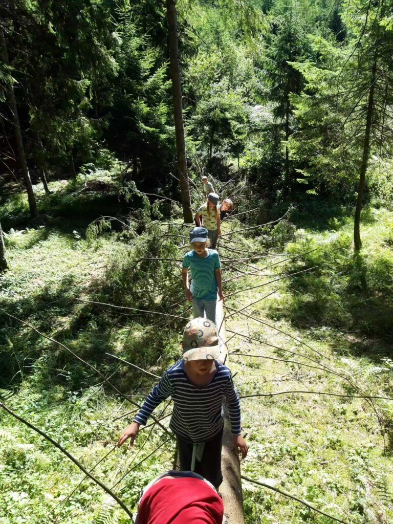 Kinder auf dem Baum